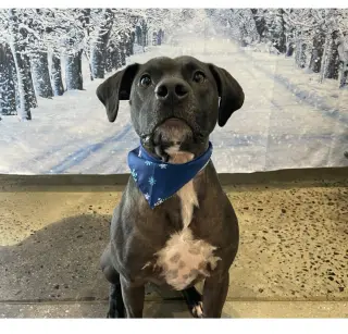 Max