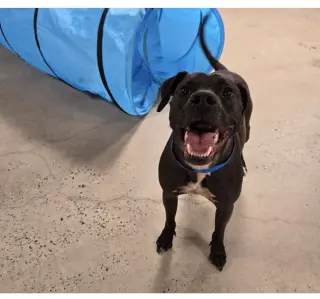 Max