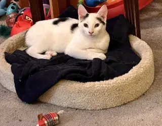 Fiona