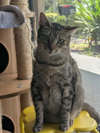 Bahia