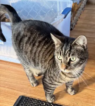 Stanley