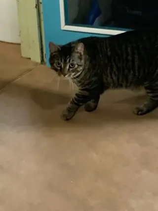 Stanley