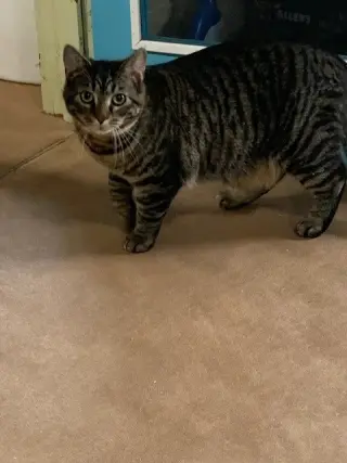 Stanley