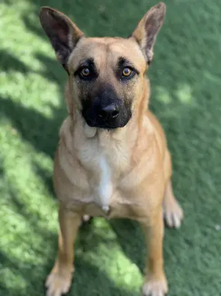 Missy