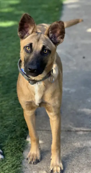 Missy