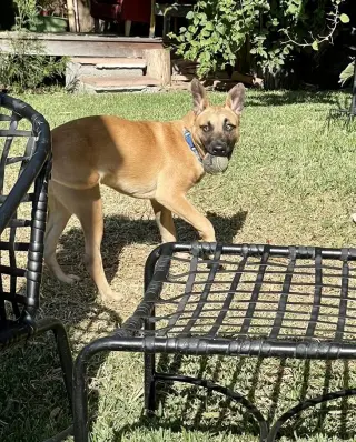 Missy