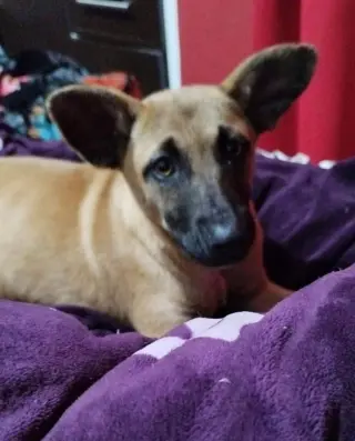 Missy