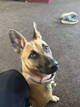 Missy