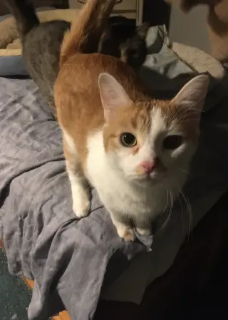 Shelley bonded with Buttercup