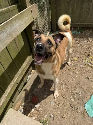 Duke