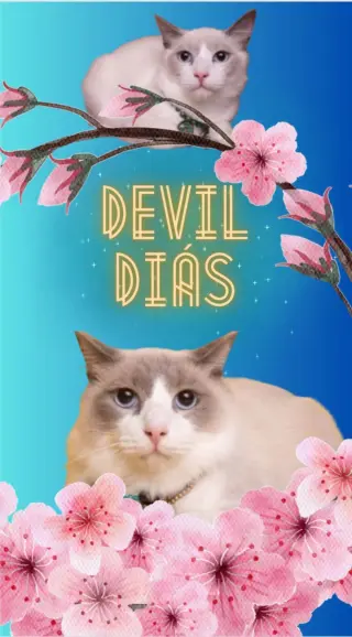 DEVIL DIAS