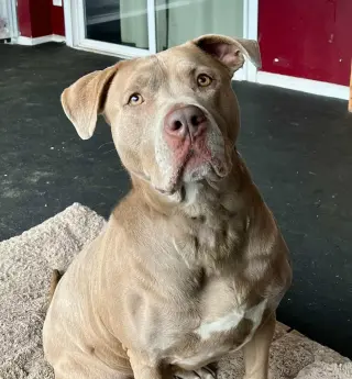 Sophie