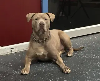 Sophie
