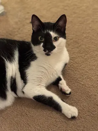 Andy