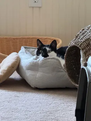 Andy