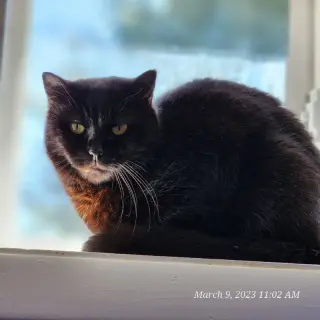 Sammy