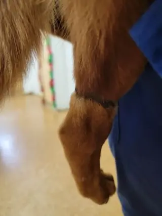 Bounce