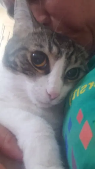 Sharleen #stunning-whiskers