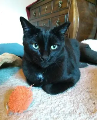 Julian