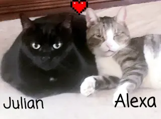 Julian