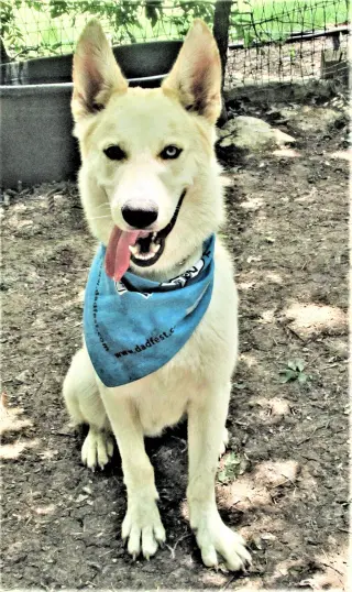 Luka