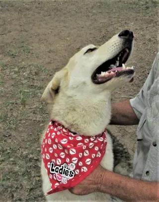 Luka