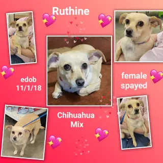 Ruthine