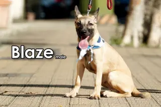 Blaze from Taiwan