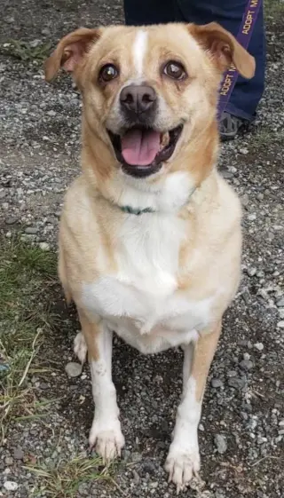 Bella
