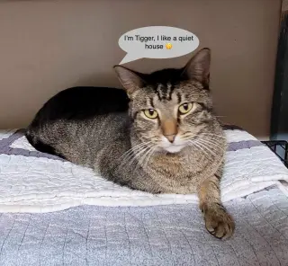 Tigger