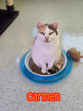 Carmen
