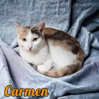 Carmen