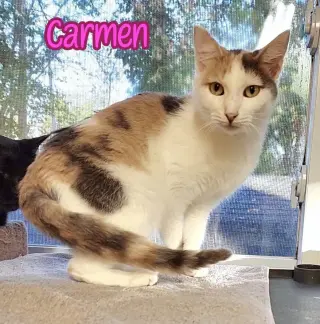 Carmen