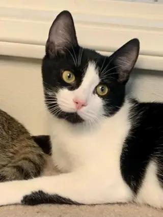 Reggie
