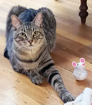 Nathaniel