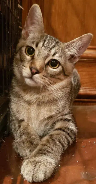 Nathaniel