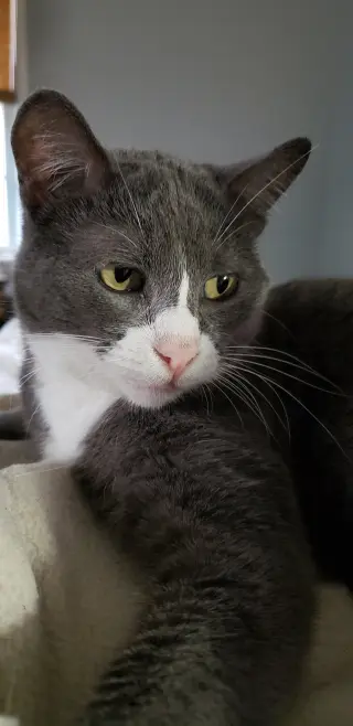 Eleanor