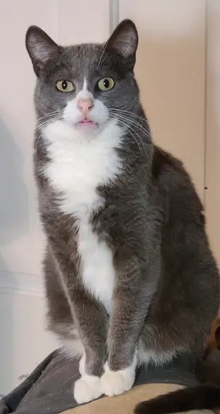 Eleanor