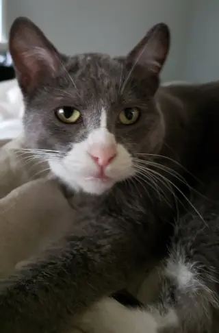 Eleanor