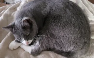 Eleanor