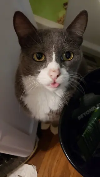 Eleanor