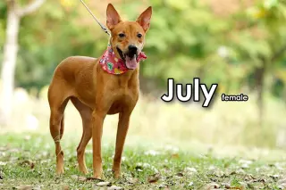 July from Taiwan