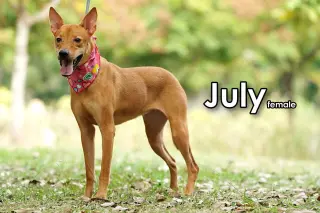July from Taiwan