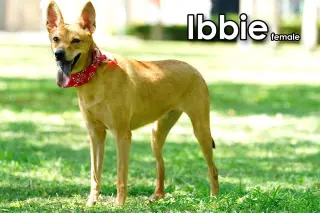 Ibbie from Taiwan