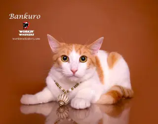 BANKURO