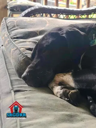 Wilson
