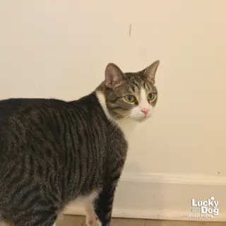 George