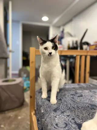Chance