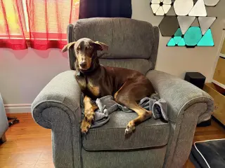 Copper