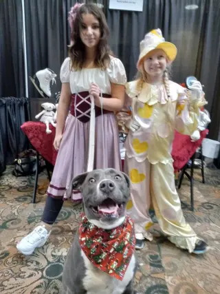 Belladonna